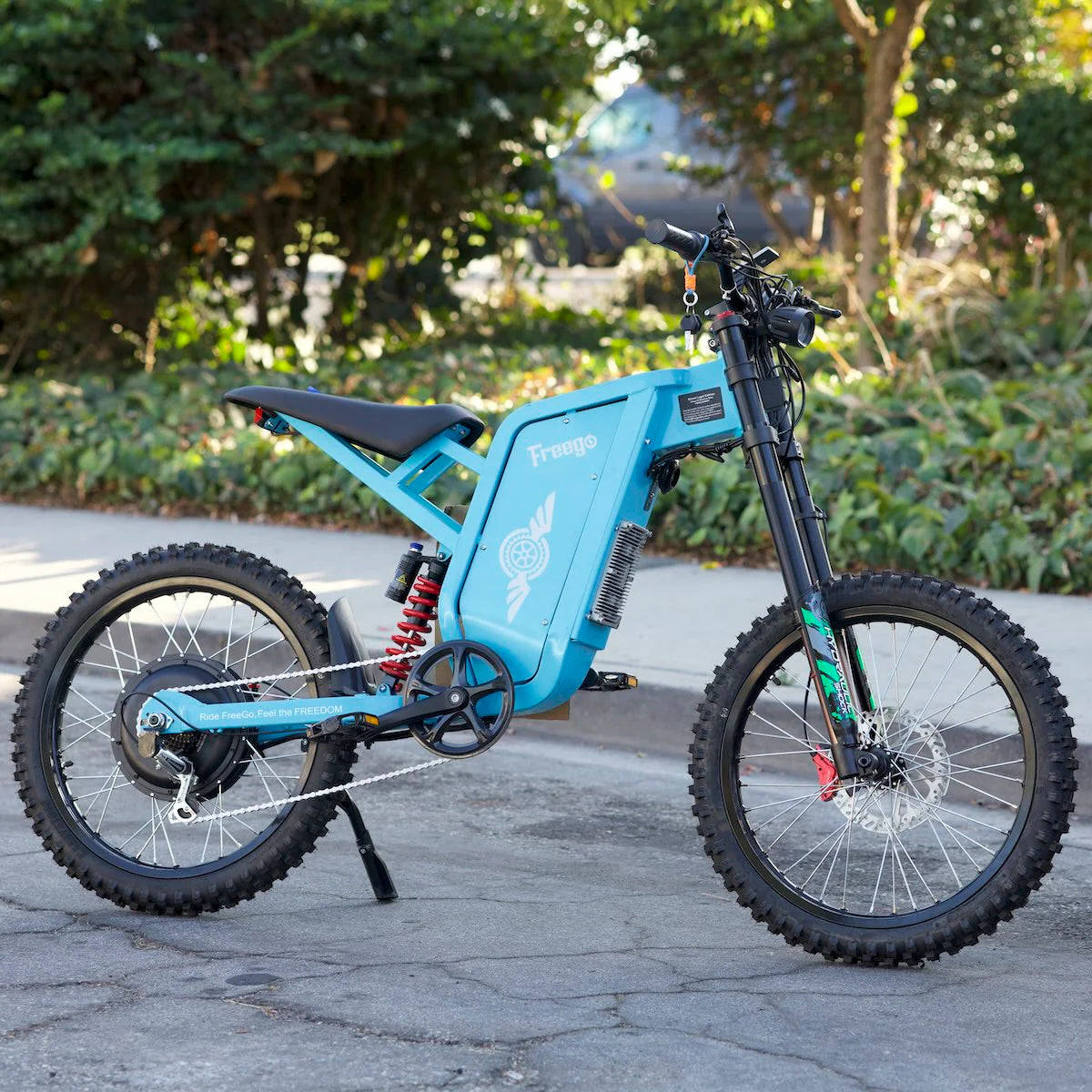 Freego X2 Pro All-Terrain Dirt eBike