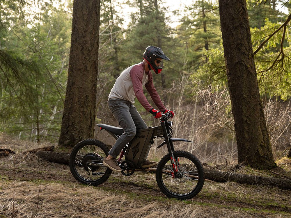 Freego X2 Pro All-Terrain Dirt eBike