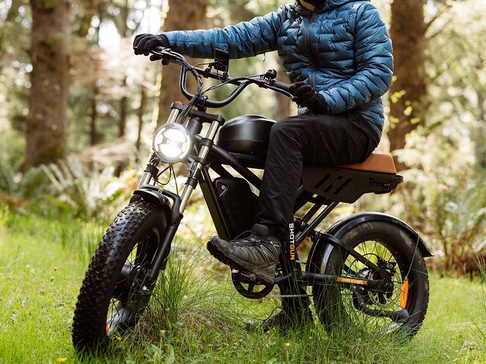 Freego Flash F3 Pro Max Dual Motor and Battery eBike - Image 8
