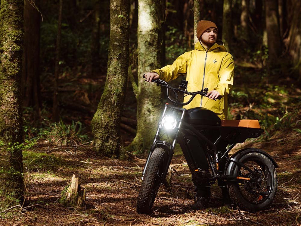 Freego Flash F3 Pro Max Dual Motor and Battery eBike - Image 3