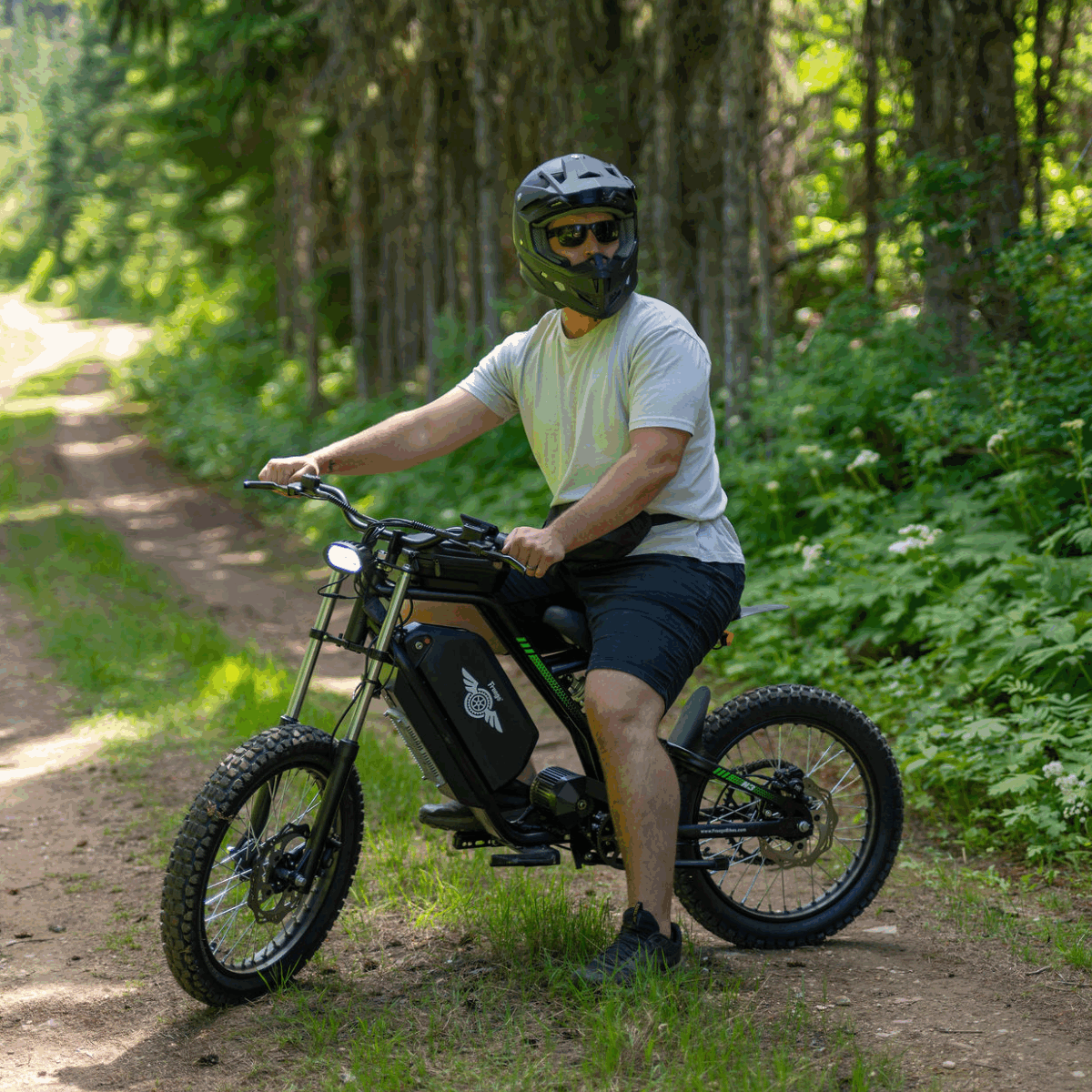 Freego Nova 3 Mid-Drive All-Terrain Dirt eBike - Image 2