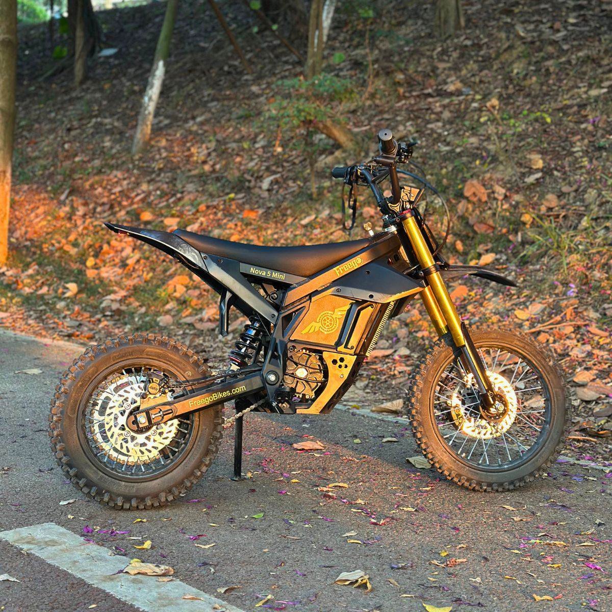 Freego Nova 5 Mini Ebike for Teens and Adults - Image 12