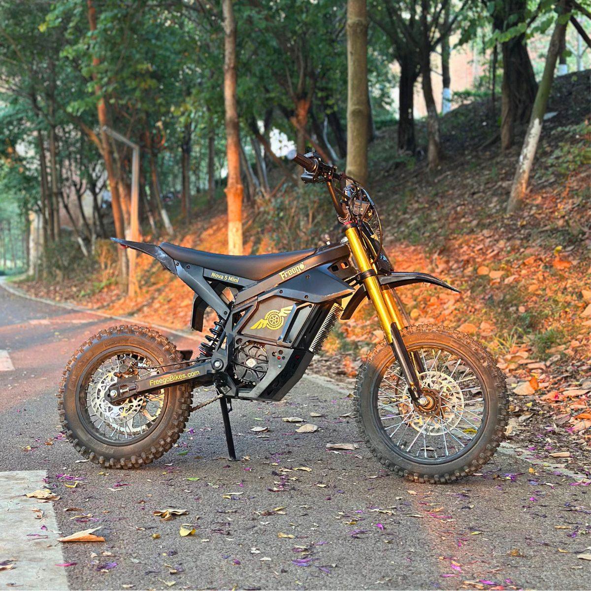 Freego Nova 5 Mini Ebike for Teens and Adults - Image 6