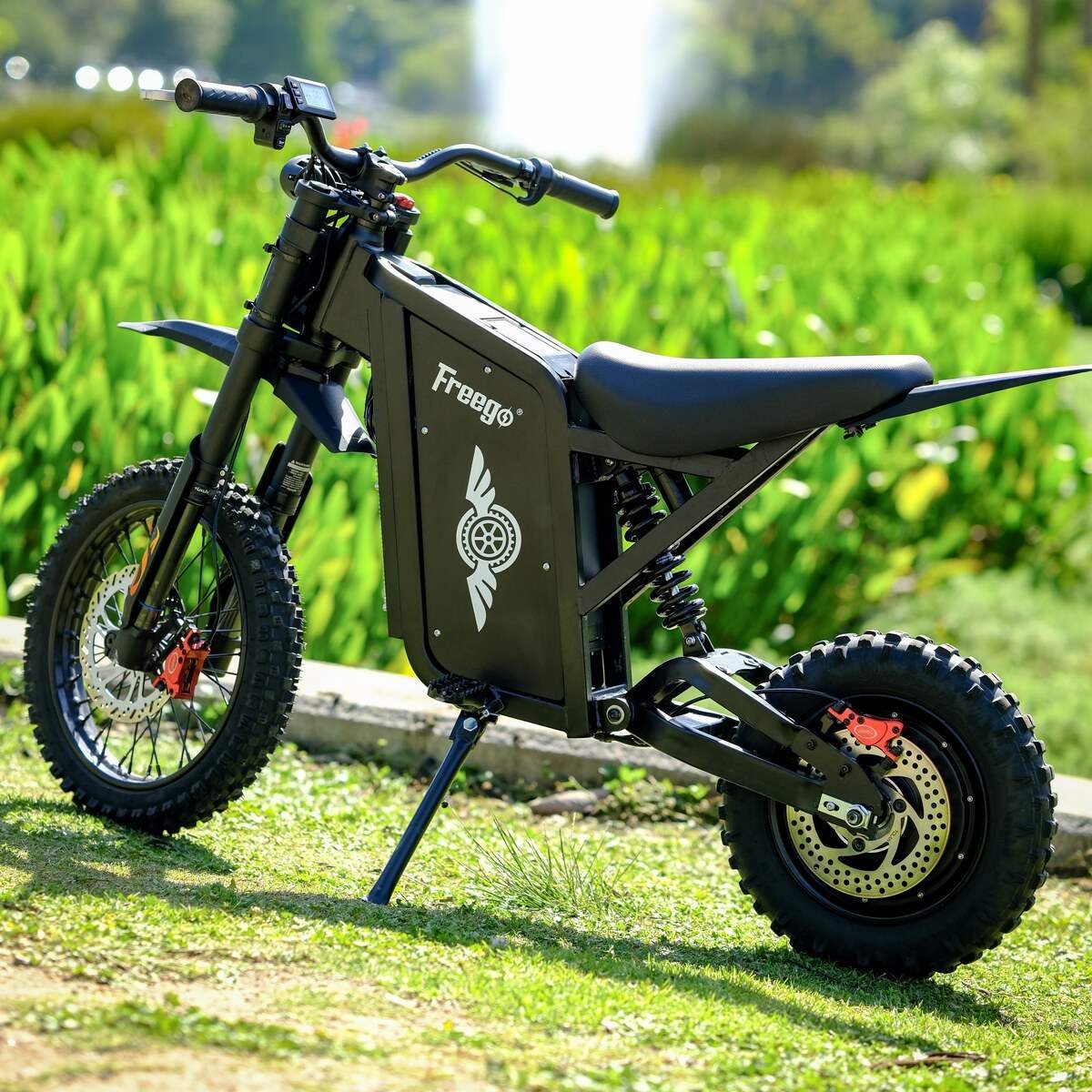 Freego X0 Electric Mini Bike for Teens and Adults - Image 9