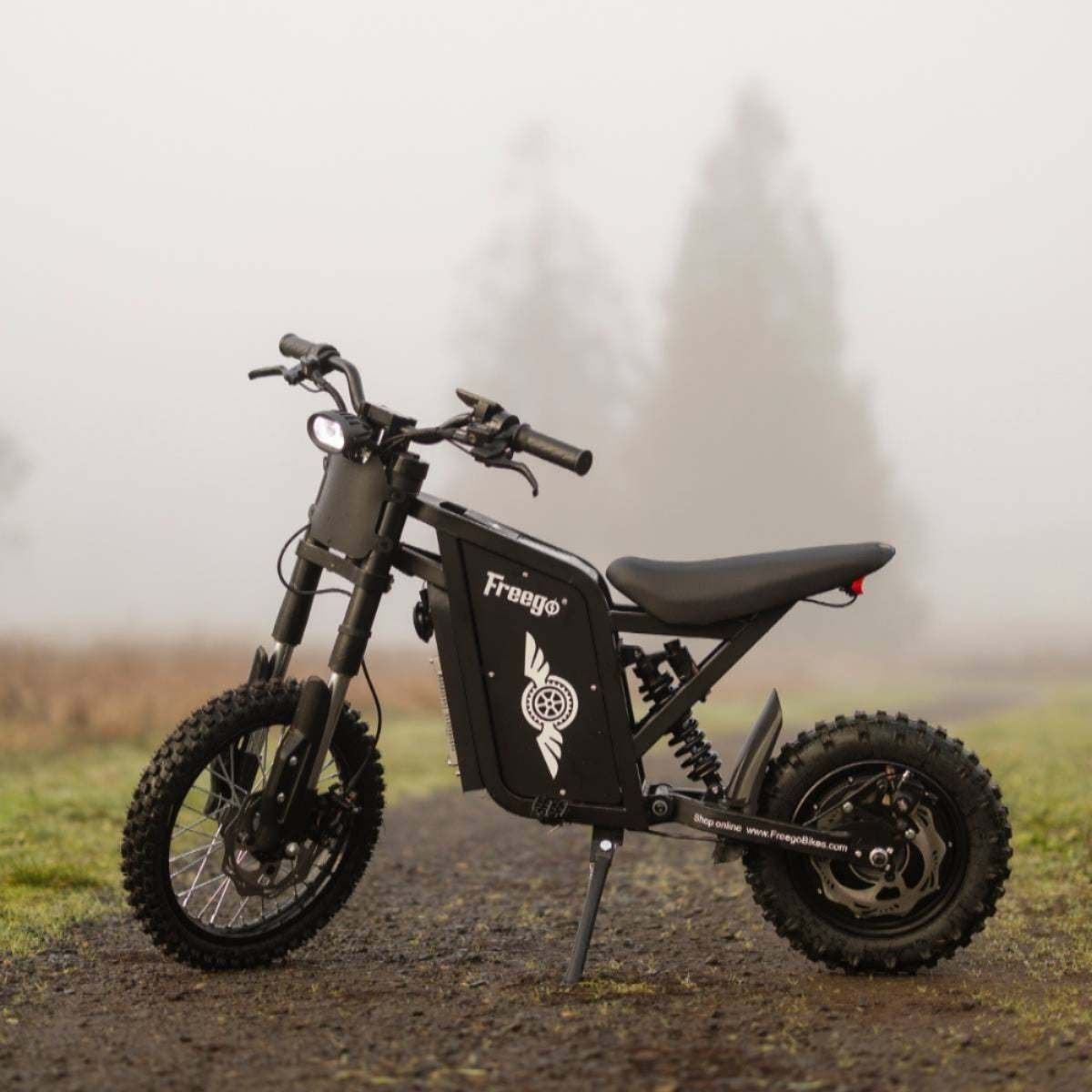Freego X0 Electric Mini Bike for Teens and Adults - Image 5