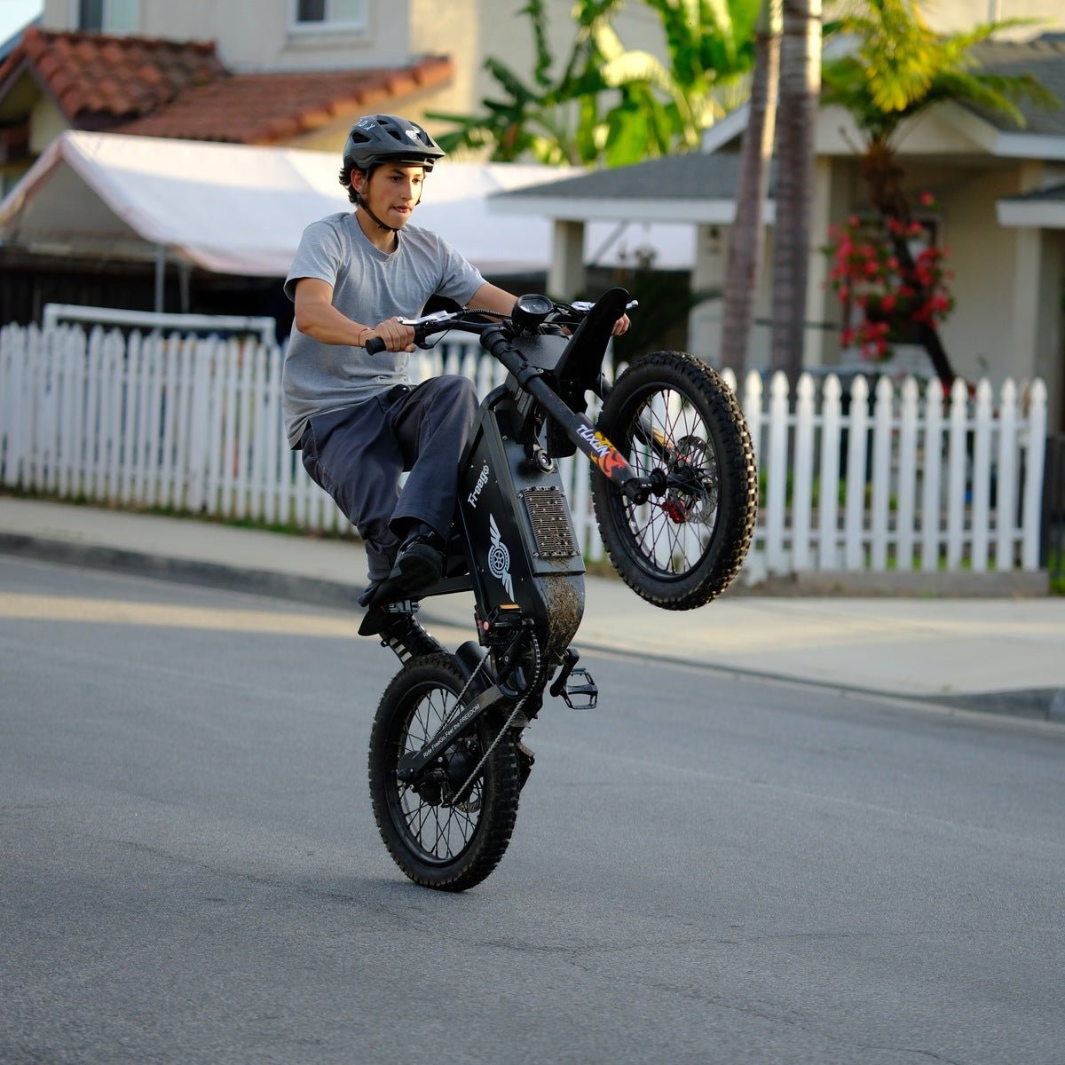 Freego X1 Series Agile All-Terrain Electric Dirt Bikes with Pedals - Image 7