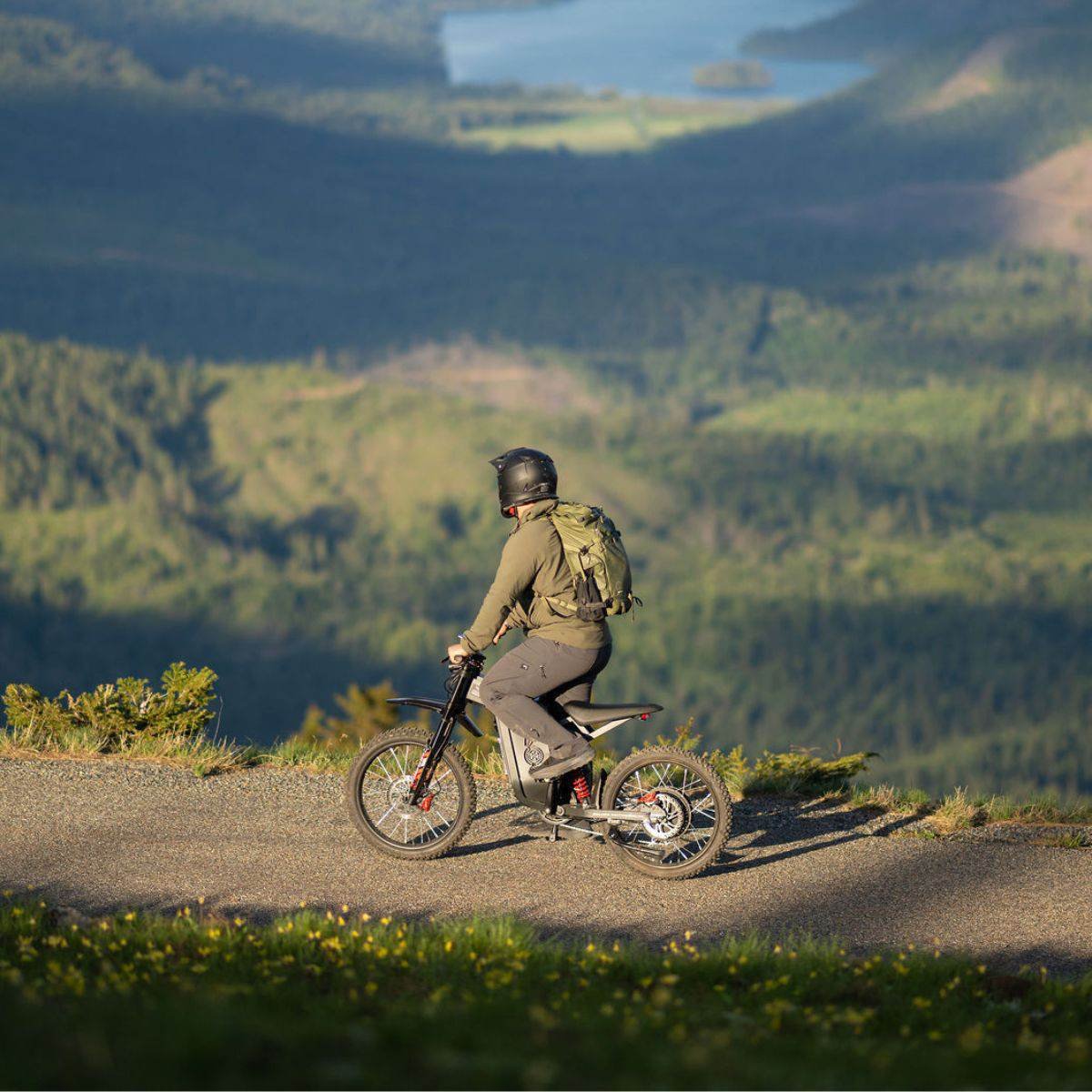 Freego X2 Pro All-Terrain Dirt eBike - Image 5