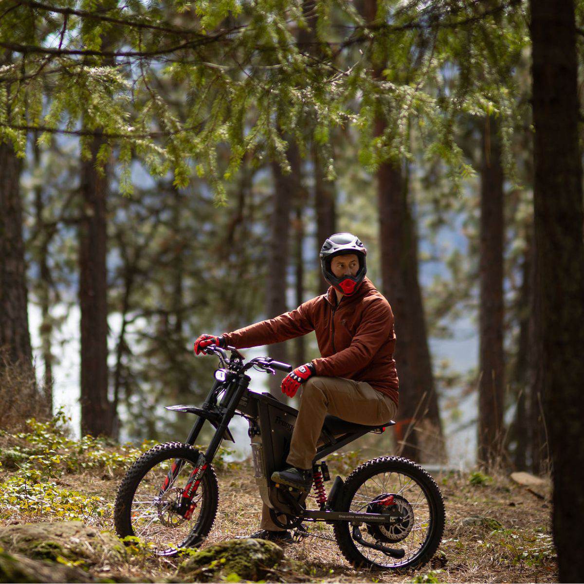 Freego X2 Pro All-Terrain Dirt eBike - Image 7