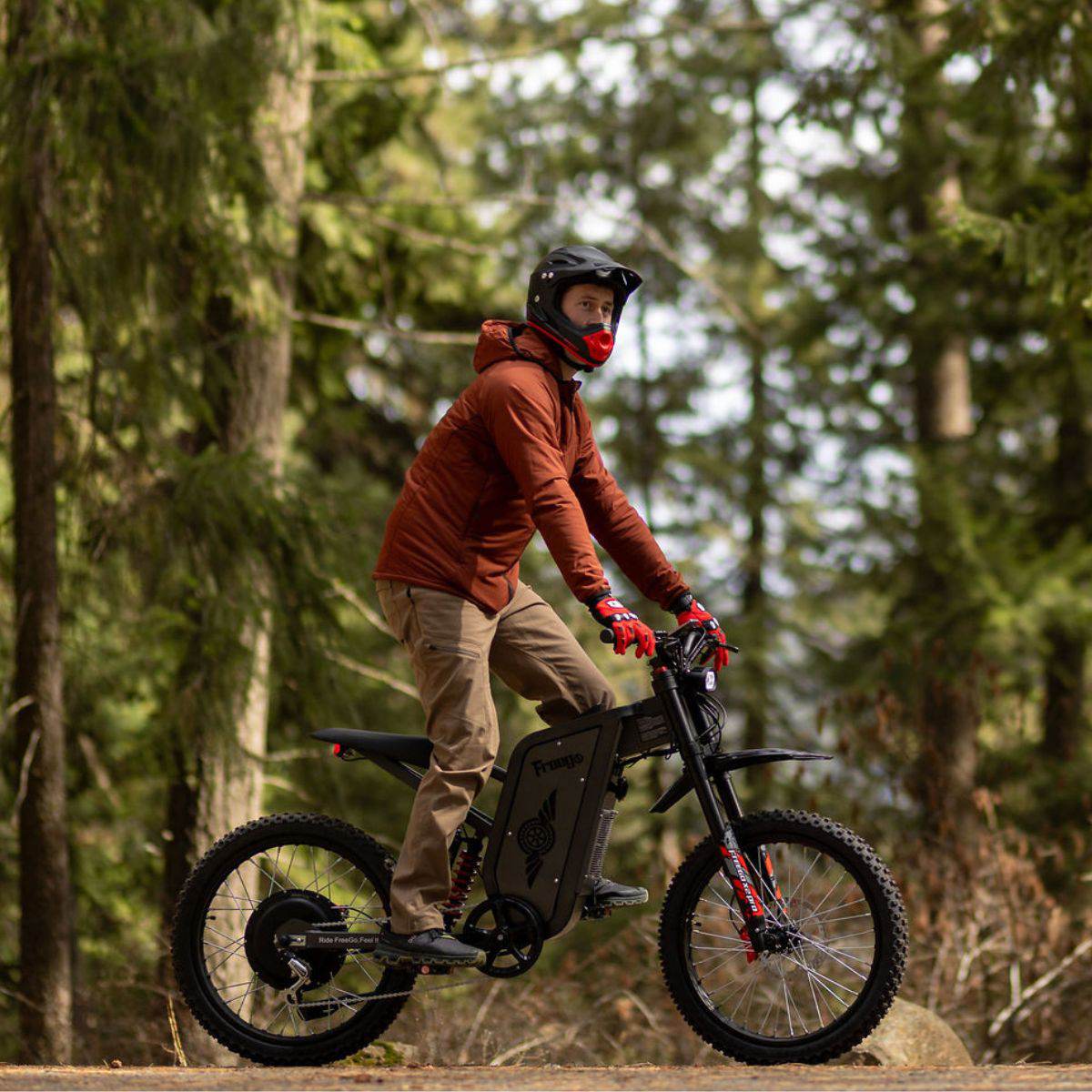 Freego X2 Pro All-Terrain Dirt eBike - Image 3