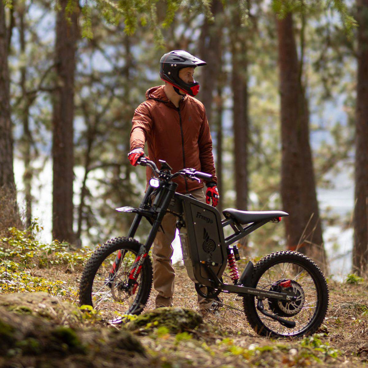 Freego X2 Pro All-Terrain Dirt eBike - Image 2