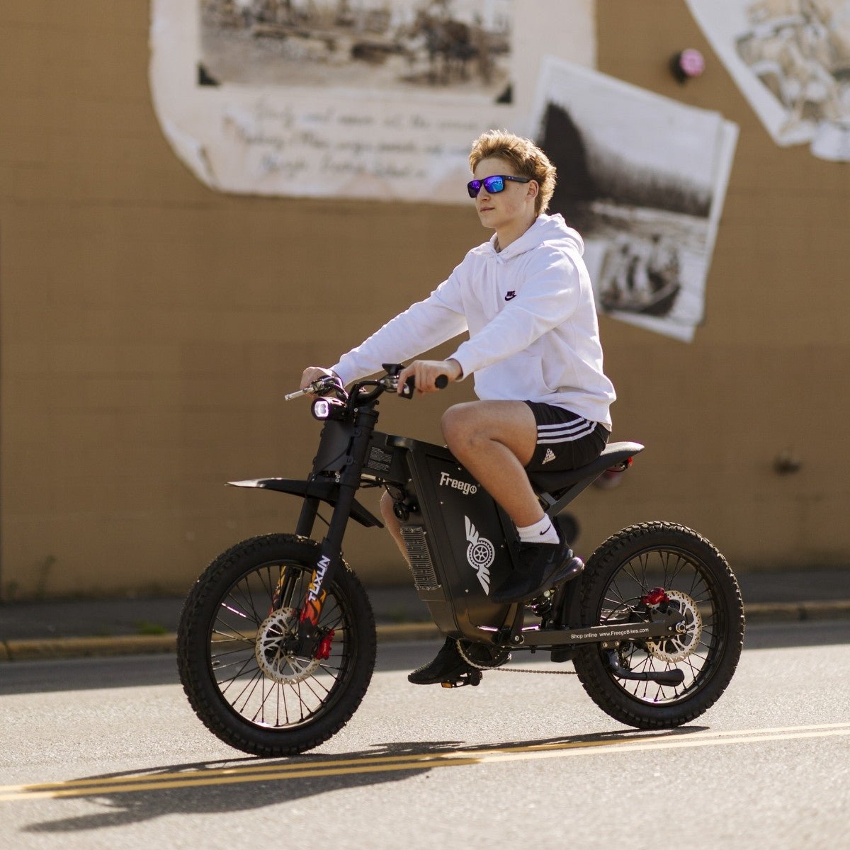 Freego X1 Series Agile All-Terrain Electric Dirt Bikes with Pedals - Image 8