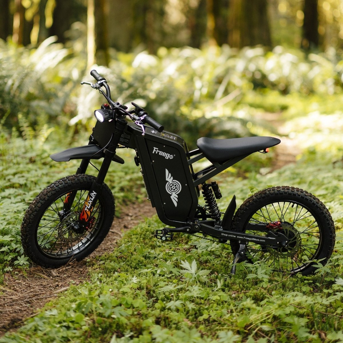 Freego X1 Series Agile All-Terrain Electric Dirt Bikes with Pedals - Image 6