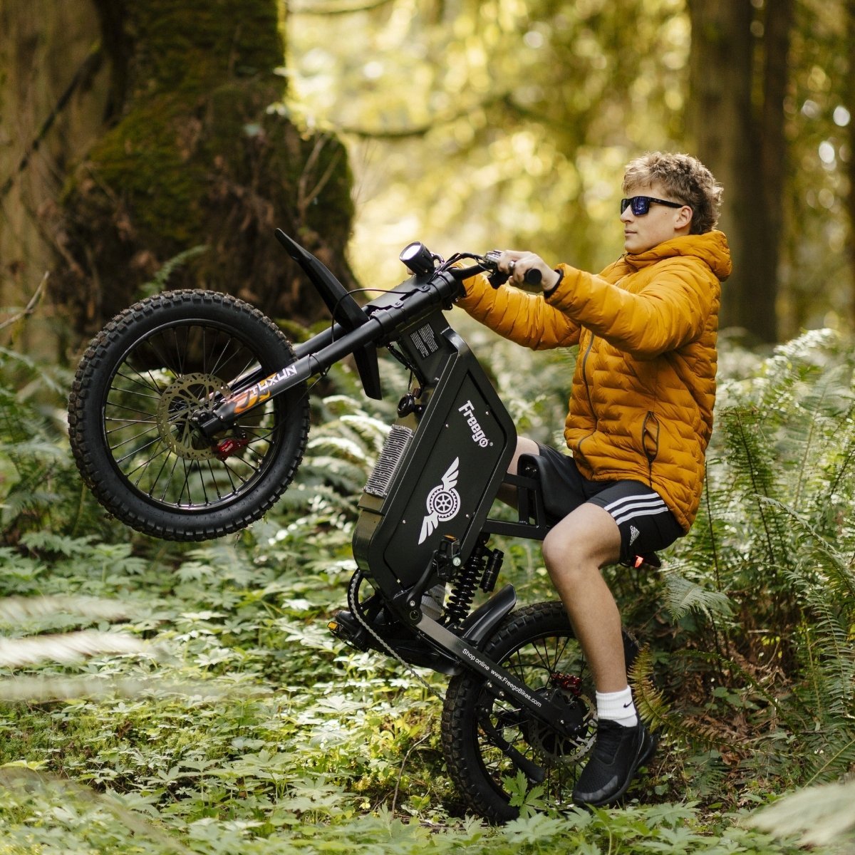 Freego X1 Series Agile All-Terrain Electric Dirt Bikes with Pedals - Image 4